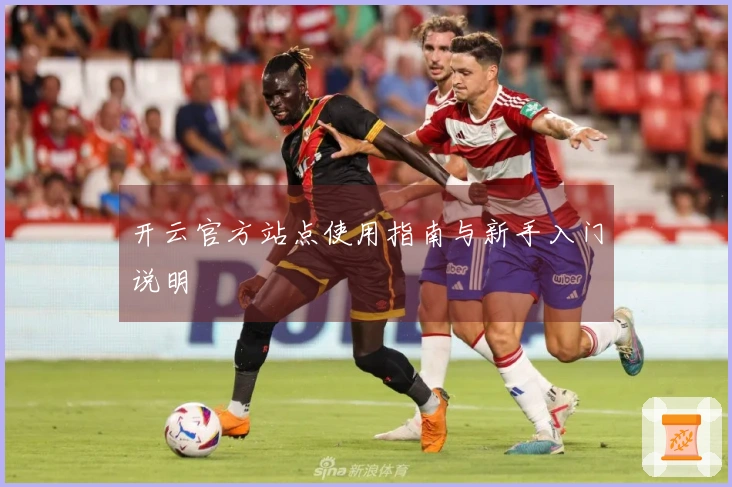 开云官方站点使用指南与新手入门说明