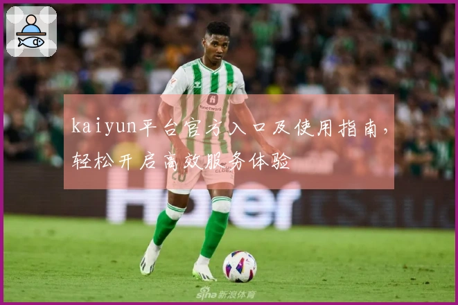 kaiyun平台官方入口及使用指南，轻松开启高效服务体验